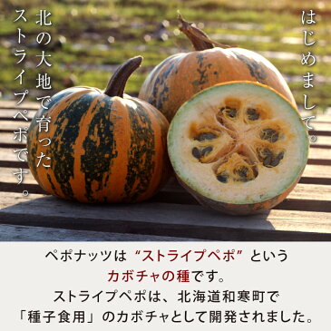 【お得用】北海道和寒産ペポナッツ 500g　ペポストライプ 国産かぼちゃの種　国産スーパーフード 国産カボチャの種 国産パンプキンシード