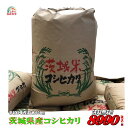 【米 送料無料 30kg】令和3年産　　茨城県産コシヒカリ玄米30kg送料無料　無料精米 【smtb-TD】【saitama】【あす楽_土曜営業】【あす楽_日曜営業】【HLS_DU】　【マラソン201509_1000円】【楽ギフ_のし】【楽ギフ_のし宛書】