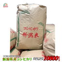 米 玄米 10kg ひとめぼれ 5kg×2袋 令和3年産 山形県産 精米無料 白米 無洗米 分づき 当日精米 送料無料