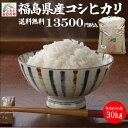 【米 送料無料 30kg】令和5年産　　福島県産 コシヒカリ