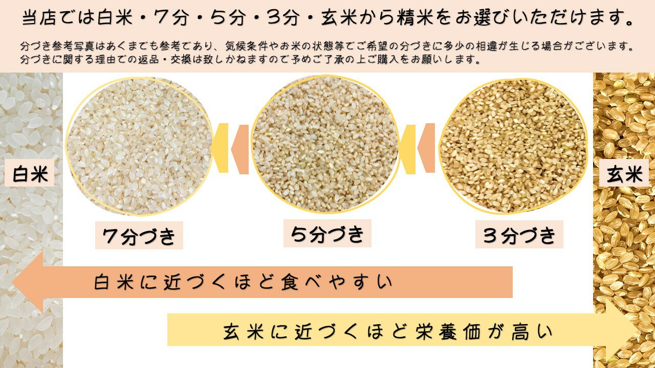 【米 送料無料 30kg】令和3年産　福島県産 コシヒカリ 玄米 30kg お米　精米無料　送料無料【smtb-td】【saitama】