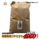 令和元年産 新潟県産 コシヒカリ 玄米 10kgお米 【sm...