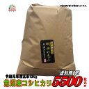 新潟魚沼産 コシヒカリ 玄米 10kg 令和元年産　 お米　精米無料　送料無料 【smtb-TD】【saitama】【あす楽_土曜営業】【あす楽_日曜営業】【こしひかり】 【楽ギフ_のし】【楽ギフ_のし宛書】