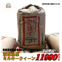 ミルキークィーン 茨城県産 令和元年産 玄米 30Kg 精米無料　送料無料 【smtb-TD】【saitama】【あす楽_土曜営業】【あす楽_日曜営業】　02P05Nov16