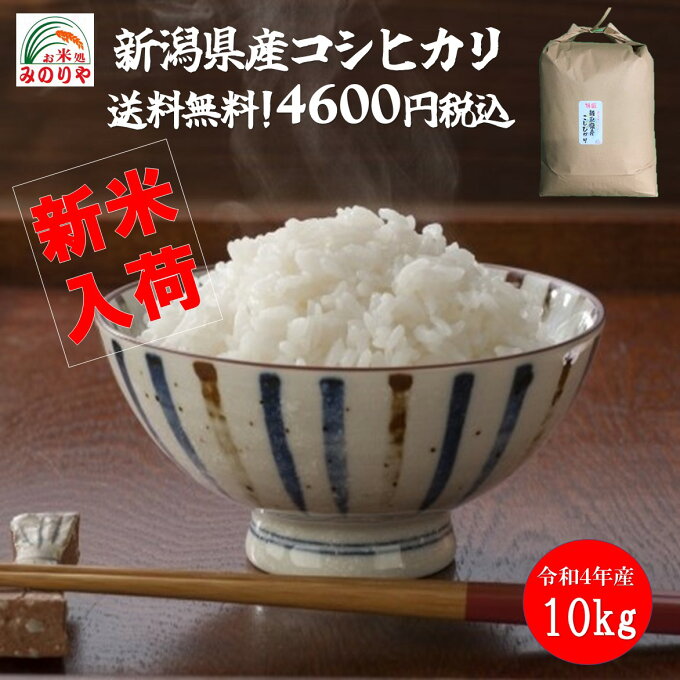 【米 送料無料 10kg】新米　令和4年産　新潟県産 コシヒカリ 玄米 10kgお米...