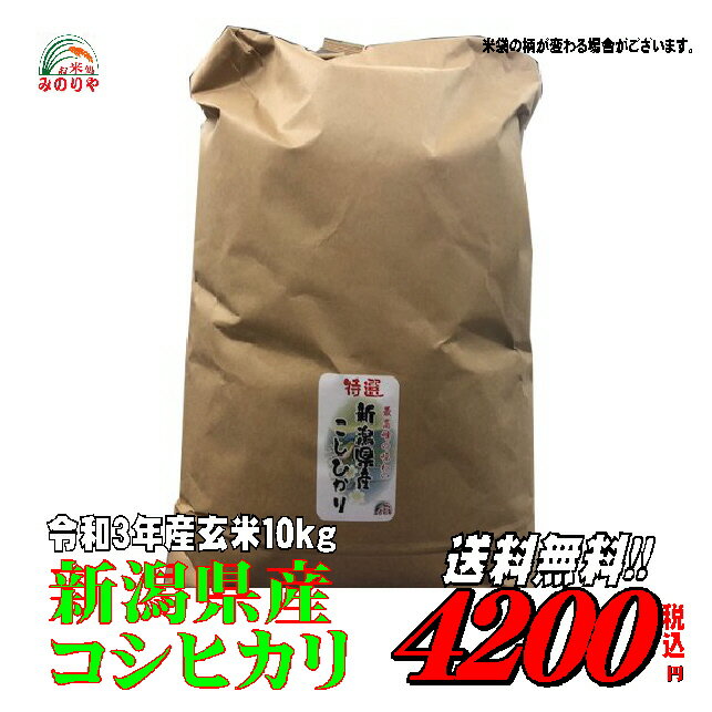 新米令和3年産　新潟県産 コシヒカリ 玄米 10kgお米 【smtb-TD】【saitama】【あす楽_土曜営業】【あす楽_日曜営業】【送料無料】【精米無料】