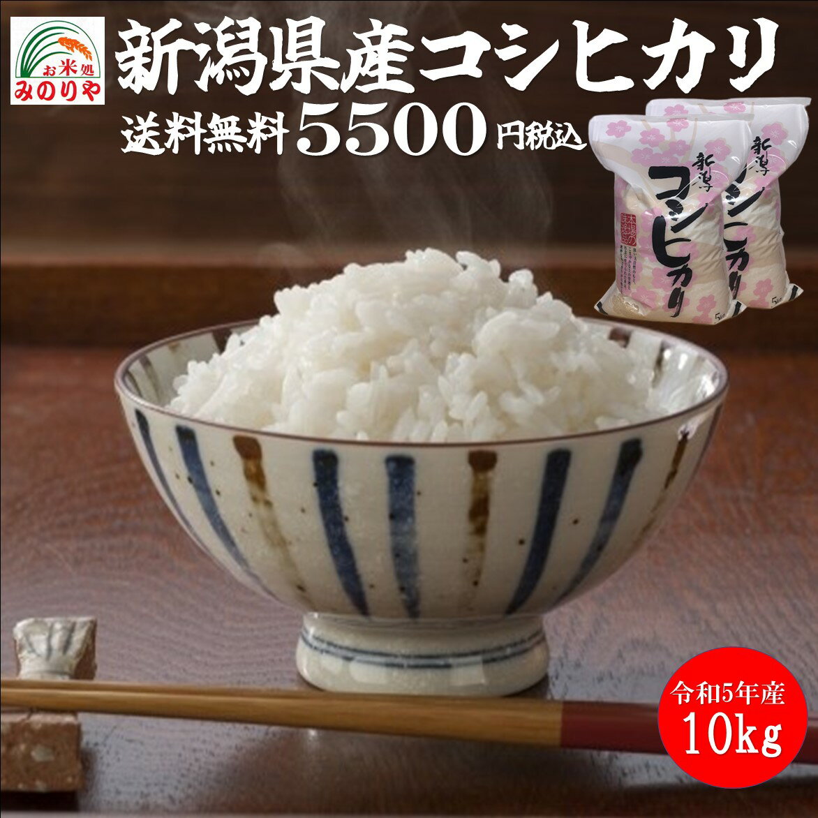 【米 送料無料 10kg】 令和5年産　新潟県産 コシヒカリ