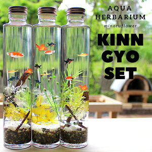 アクアハーバリウム 金魚3本セット インテリア ギフト