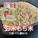 【送料無料】玄米もち米「ひめのもち」5袋セット岡山県産 餅 米 つき姫 餅つき機 みのる産業 食物繊維 低GI食品 新庄村