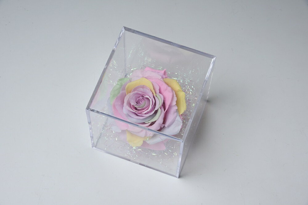 プリザキューブレインボー大