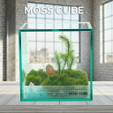 【MOSS CUBE Kit Sサイズ】 苔テラリウム 作成キット キューブ 6.5cm 自作 簡単 初心者用 コケリウム お手入れ簡単 アップサイクル リサイ...