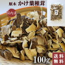 【1000円ポッキリ 訳あり】送料無料 椎茸 国産 干し椎茸 カケ葉 100g 軸なし 出汁用 きのこ 干ししいたけ 乾燥しいたけ 岐阜 ほししいたけ