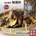 訳あり 国産 干し椎茸 無選別 500g 送料無料 大容量 椎茸 小葉 家庭用 出汁 きのこ 干ししいたけ シイタケ 乾燥シイタケ 岐阜 原木椎茸 ほししいたけ