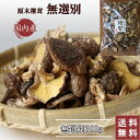 訳あり 国産 干し椎茸 無選別 300g 送料無料 大容量 椎茸 小葉 家庭用 出汁 きのこ 干ししいたけ シイタケ 乾燥シイタケ 岐阜 原木椎茸 ほししいたけ