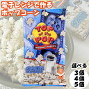 トップオブザポップ ポップコーン ソルト TOPof thePOP 塩味 レンジ 簡単 電子レンジ 種 袋 塩 しお 送料無料