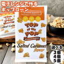 トップオブザポップ ポップコーン ソルトテッドキャラメル TOPofthePOP キャラメル レンジ 簡単 電子レンジ 種 袋 送料無料