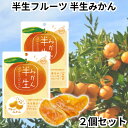 ドウシシャ ドライフルーツ 半生フルーツ 半生ドライフルーツ みかん ミカン 2個セット 送料無料