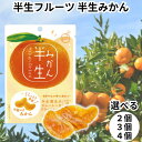 ドウシシャ ドライフルーツ 半生フルーツ 半生ドライフルーツ みかん ミカン 送料無料