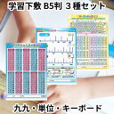 めざせ理系!下敷き3枚セット オリオンズ ORIONS 共栄プラスチック 学習下敷 B5判 九九 単位早わかり キーボード かけ算 パソコン 算数 理科 PC プログラミング 低学年 入学 小学生 小学校 下敷き 送料無料(3)