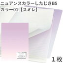 共栄 オリオンズ 下敷き B5 ニュアンスカラー スミレ 2枚セット 無地 くすみカラー したじき シンプル 日本製 ORIONS 共栄プラスチック NS-B5...