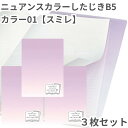 共栄 オリオンズ 下敷き B5 ニュアンスカラー スミレ 3枚セット 無地 くすみカラー したじき シンプル 日本製 ORIONS 共栄プラスチック NS-B5...