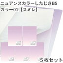 共栄 オリオンズ 下敷き B5 ニュアンスカラー スミレ 5枚セット 無地 くすみカラー したじき シンプル 日本製 ORIONS 共栄プラスチック NS-B5...