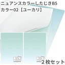 共栄 オリオンズ 下敷き B5 ニュアンスカラー ユーカリ 2枚セット 無地 シンプル 日本製 ORIONS 共栄プラスチック NS-B5-02 したじき くす...