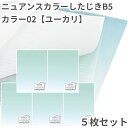 共栄 オリオンズ 下敷き B5 ニュアンスカラー ユーカリ 5枚セット 無地 シンプル 日本製 ORIONS 共栄プラスチック NS-B5-02 したじき くす...