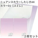 共栄 オリオンズ 下敷き A4 ニュアンスカラー スミレ 2枚セット 無地 シンプル 日本製 ORIONS 共栄プラスチック NS-A4-01 したじき パステ...