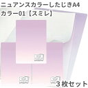共栄 オリオンズ 下敷き A4 ニュアンスカラー スミレ 3枚セット 無地 シンプル 日本製 ORIONS 共栄プラスチック NS-A4-01 したじき パステ...