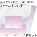 共栄 オリオンズ 下敷き A4 ニュアンスカラー スミレ 5枚セット 無地 シンプル 日本製 ORIONS 共栄プラスチック NS-A4-01 したじき パステ...