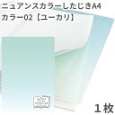 共栄 オリオンズ 下敷き A4 ニュアンスカラー ユーカリ 1枚 無地 シンプル 日本製 ORIONS 共栄プラスチック NS-A4-02 したじき パステル ...