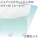 共栄 オリオンズ 下敷き A4 ニュアンスカラー ユーカリ 2枚セット 無地 シンプル 日本製 ORIONS 共栄プラスチック NS-A4-02 したじき パス...
