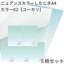 共栄 オリオンズ 下敷き A4 ニュアンスカラー ユーカリ 5枚セット 無地 シンプル 日本製 ORIONS 共栄プラスチック NS-A4-02 したじき パス...
