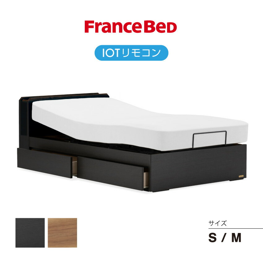 【18日はエントリーでポイント最大4倍】 フランスベッド 薄型電動ベッドフレーム UD-102C 引き出し IoTリモコン リクライニングベッド コンセント付き　送料無料