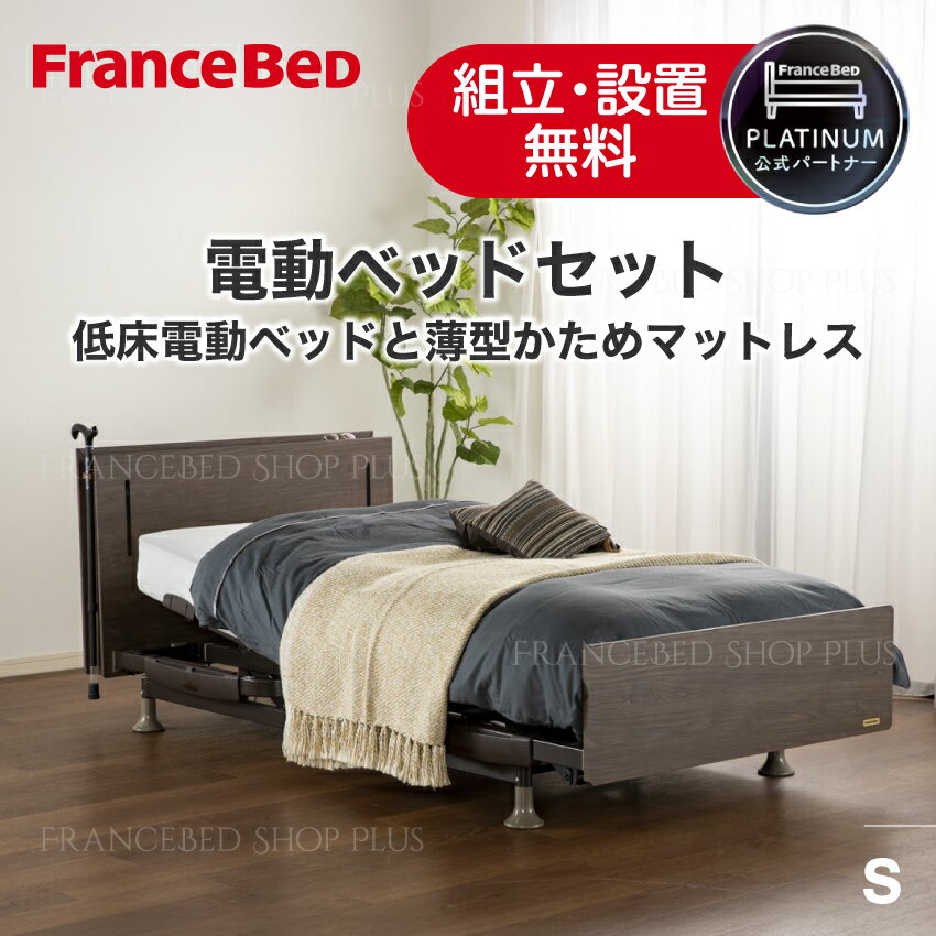 【期間限定ポイント10倍】フランスベッド 公式パートナー 電動ベッドセット レステックス-W01 フレーム 脚付き レッグ マイクロRX-DLX マットレス シングル 高密度連続スプリング 厚さ15cm かため 正規品