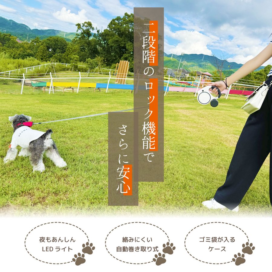 ���Ӽ� LED �饤�� �դ� �ơ��׷� ���̥꡼�� ������ �������դ� �� 5m �꡼�� ���󥰥꡼�� ������ �淿�� ���� �ͥ��ӡ� �֥�å�