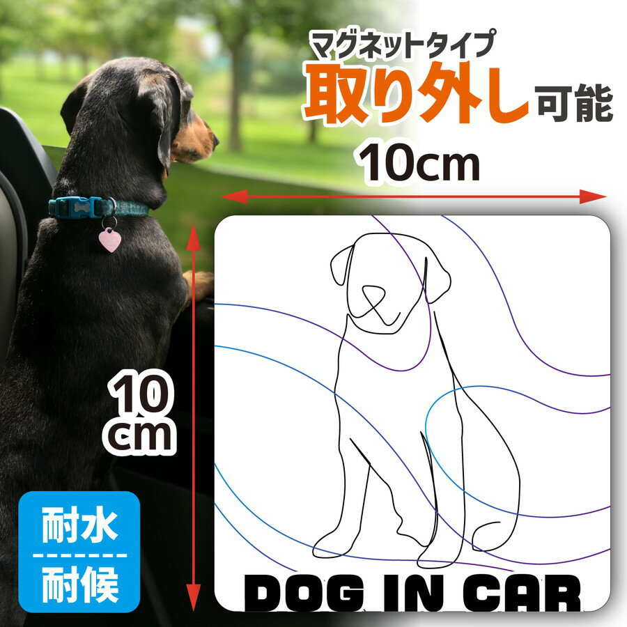 ڥѡSALEݥ10ܡ۸ ƥå ɥå󥫡 ޥͥå ƥå dog in car äƤޤ ڥå ڥå  ץ 