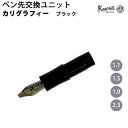 カヴェコ KAWECO 万年筆 ペン先ユニット カリグラフィー ブラック