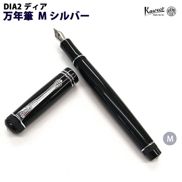 カヴェコ 【ラッピング無料】 カヴェコ KAWECO 万年筆(M) ディア2 シルバー DIA2FPS