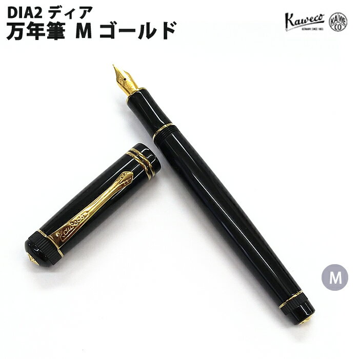 カヴェコ カヴェコ KAWECO 万年筆(M) ディア2 ゴールド DIA2FPG