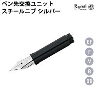 カヴェコ KAWECO ペン先交換ユニット スチール シルバー