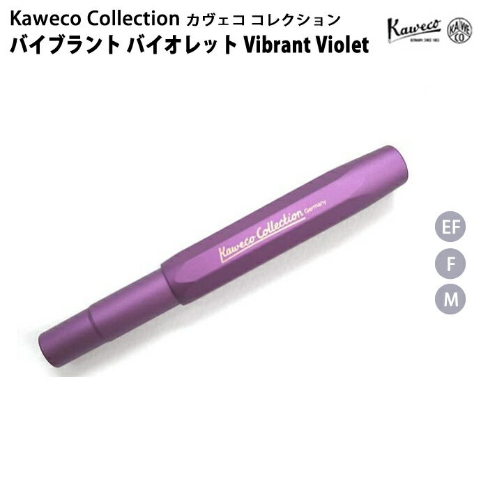  カヴェコ Kaweco アルスポーツ AL SPORT 限定カラー バイブラントバイオレット 万年筆 1000212