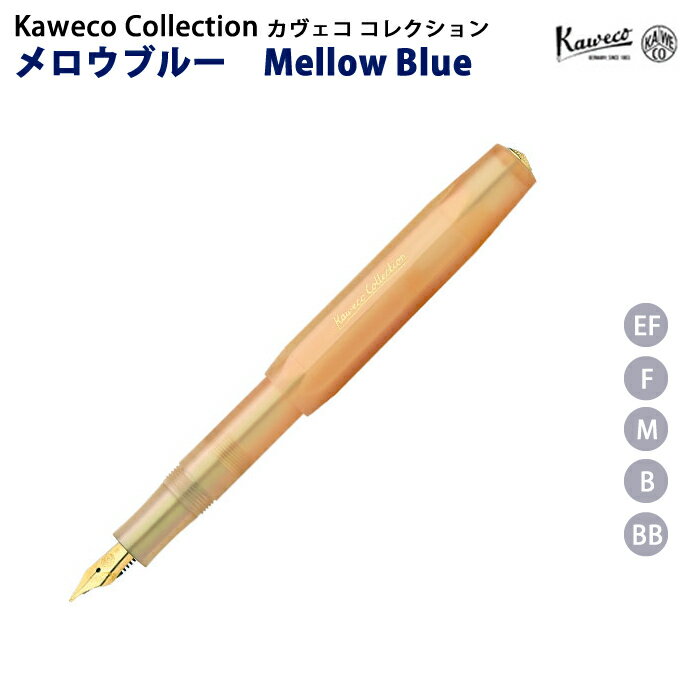 カヴェコ カヴェコ KAWECO コレクション 万年筆 スポーツシリーズ アプリコットパール