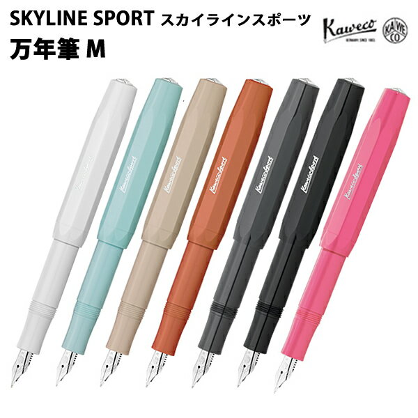 Other - 【プチラッピング無料】 カヴェコ KAWECO 万年筆M スカイラインスポーツ SSFP