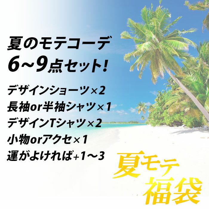 福袋 メンズ / 夏のプレミアム 6～9点 福...の紹介画像2