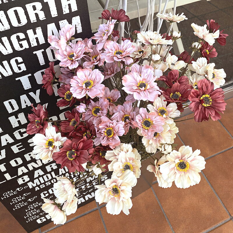 ��SALE 50%OFF�ۥ����⥹X4�� �Ĥܤ�X1�� ¤�� �ե������ե� �����ƥ��ե������ե� ����ƥꥢ���� ���֥��� ���ե� �ʥ����� �ǥ����ץ쥤���� ��