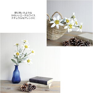 楽天市場 エーデルワイス 造花 フェイクフラワー フェイクグリーンのお店 Mintcafe 楽天市場 エーデルワイス 造花 フェイクフラワー フェイクグリーンのお店 Mintcafe