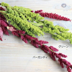 アマランサス【造花・未触媒】【フェイクグリーン】【フェイクフラワー】33152