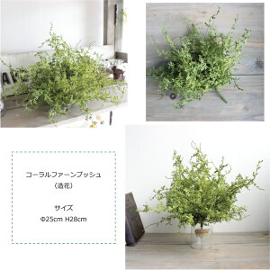 コーラルファーンブッシュ42501造花フェイクグリーンCT触媒